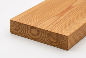 European Larch